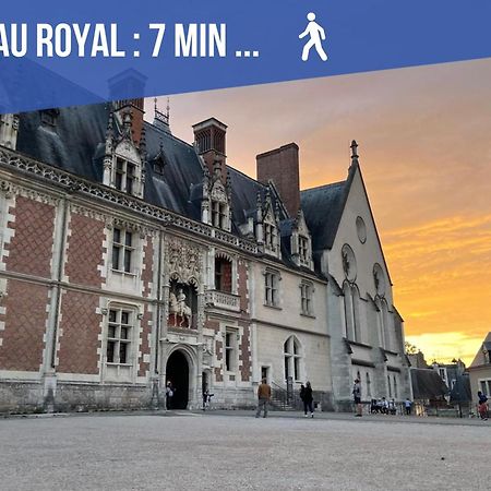 Charme & Calme A 200M Du Chateau Blois Exterior photo
